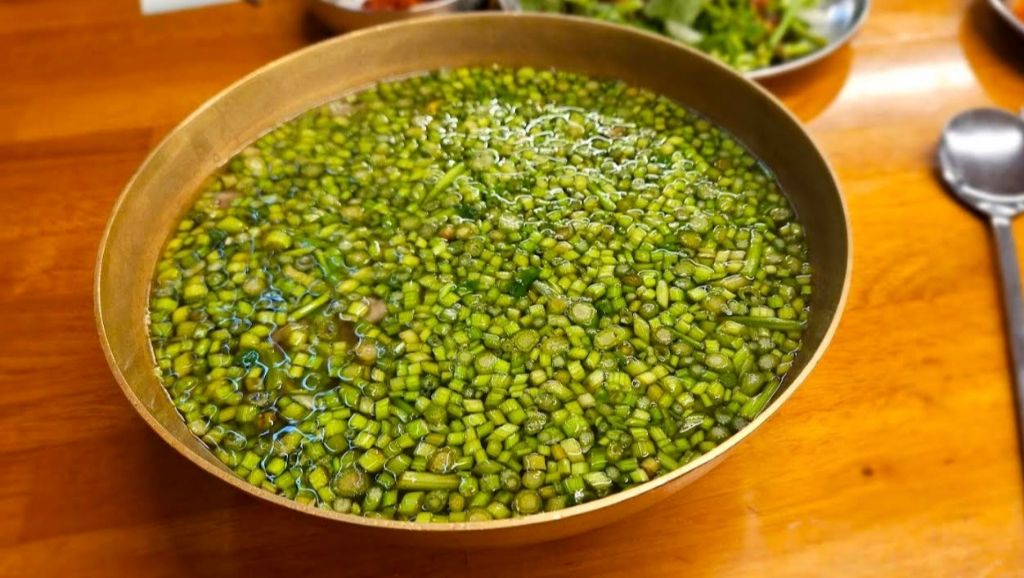 서울 능동미나리 | 인스티즈