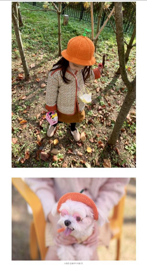 제주도 감귤 아이템🍊.jpg | 인스티즈