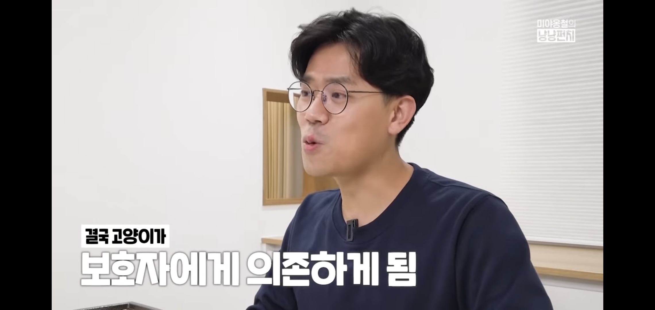 고양이 분리불안을 만드는 집사의 5가지 행동.jpg | 인스티즈