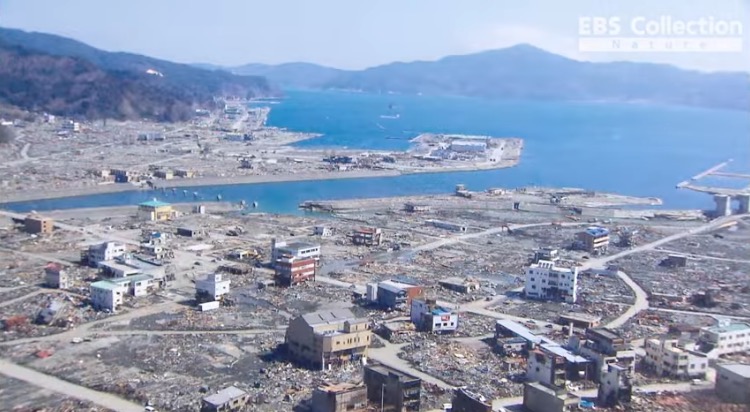 한 일본 항구마을 쓰나미 전후.jpg | 인스티즈