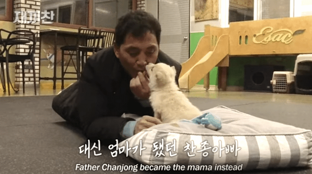 개농장에서 구출됐던 강아지 꽃님이의 버르장머리 없어진 최근 모습 | 인스티즈