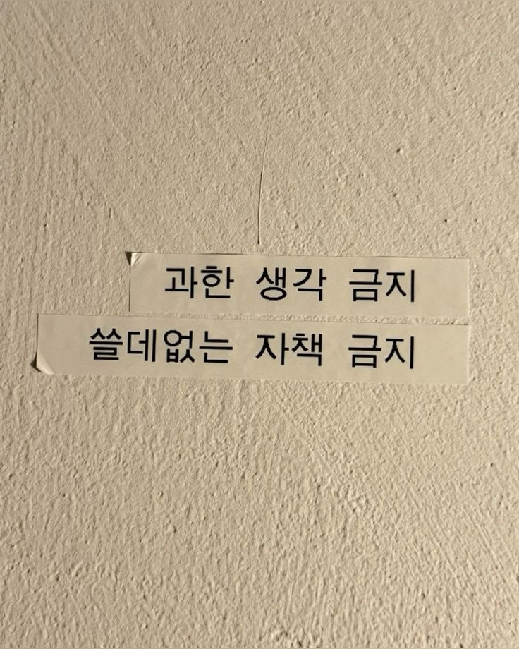 카카오톡 업뎃은 피할 수 없음 | 인스티즈