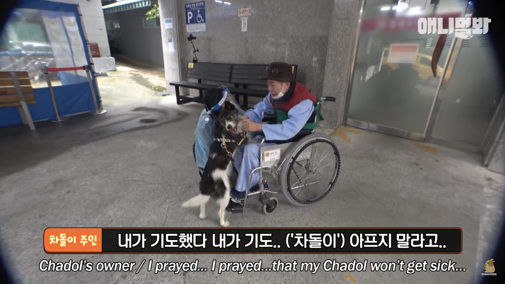 1년만에 자신을 두고 간 주인을 만난 강아지 반응 | 인스티즈