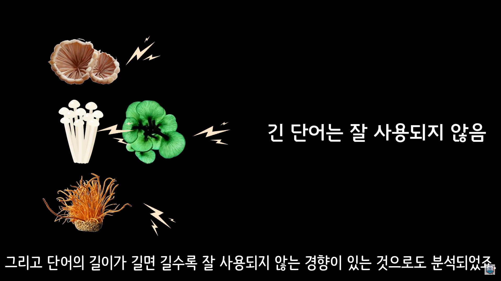 버섯이 단어와 문장을 사용해 서로 대화하고 있을지도 모른다고? | 인스티즈