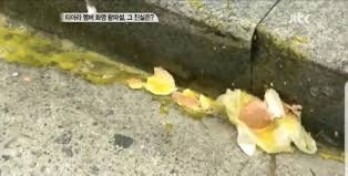 티아라 계란 투척 팬 근황 | 인스티즈