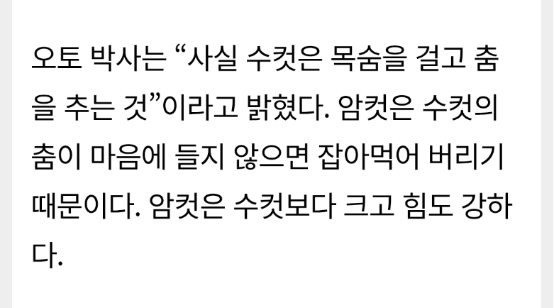 공작거미 암컷, 수컷이 춤 못추면 잡아먹는다 | 인스티즈