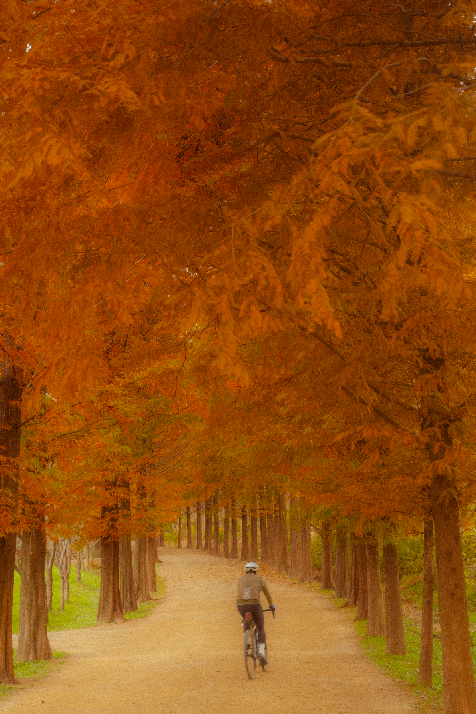 어제 담아온 가을 🍂 | 인스티즈