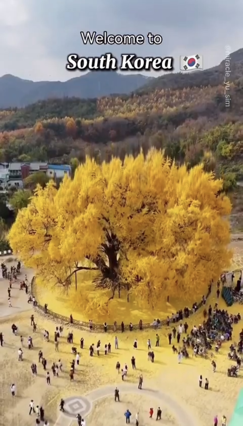 트위터에서 화제되었던 외국인이 소개하는 한국의 관광 여행지들 | 인스티즈