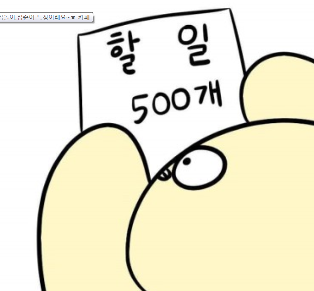 두 가지로 나뉘는 집순이 유형 | 인스티즈