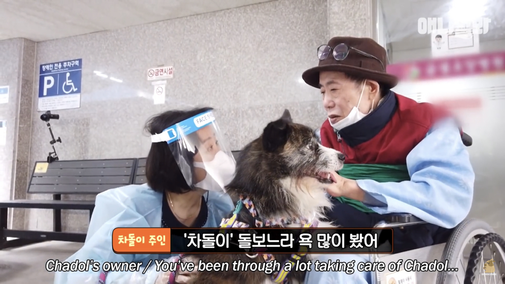 1년만에 자신을 두고 간 주인을 만난 강아지 반응 | 인스티즈