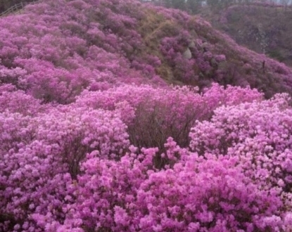 한국인들 미치게 했던 고전 문학 구절들 | 인스티즈