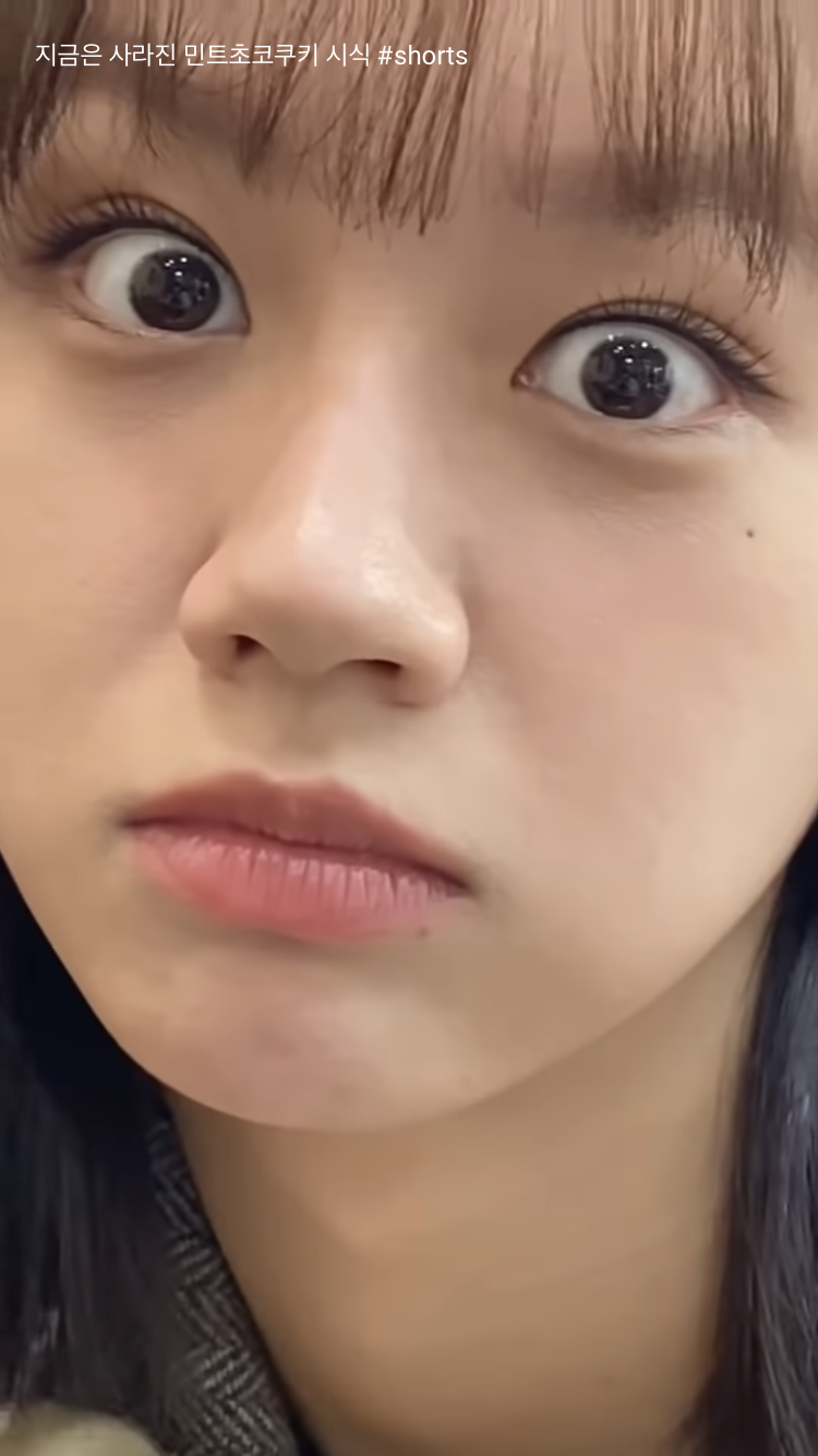 반민초파로 추정되는 혜리 | 인스티즈