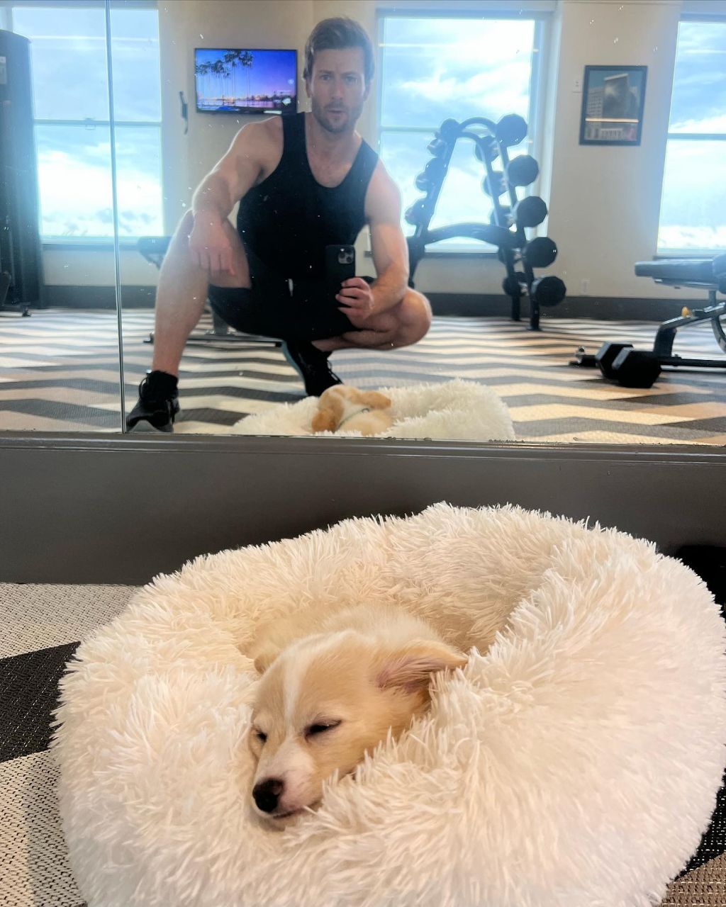 동물 구호 단체에서 유기견 입양한 행맨 | 인스티즈