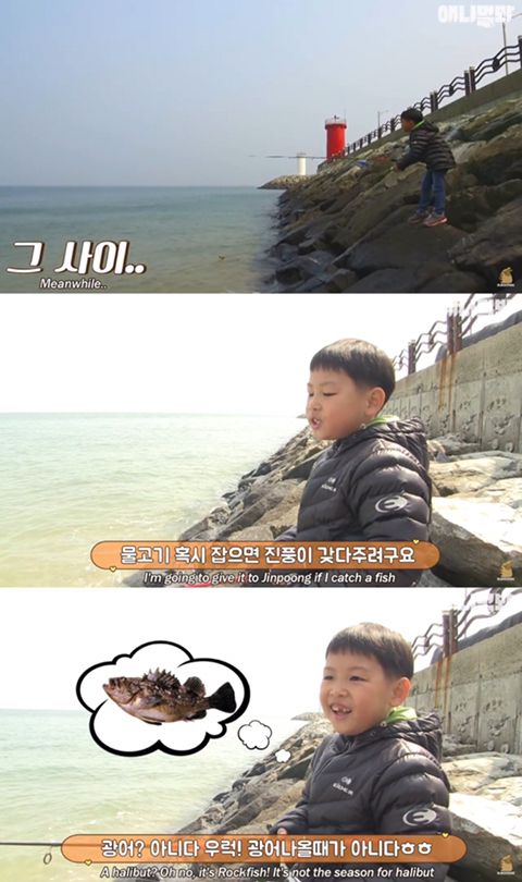 섬마을 남매가 강아지를 환영하는 완벽한 방법 | 인스티즈
