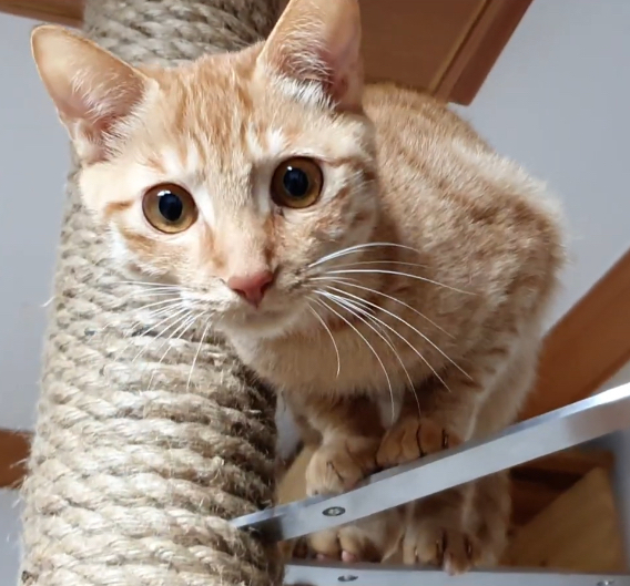 6370c97377227779f9b5daa6185ce6dac147e133