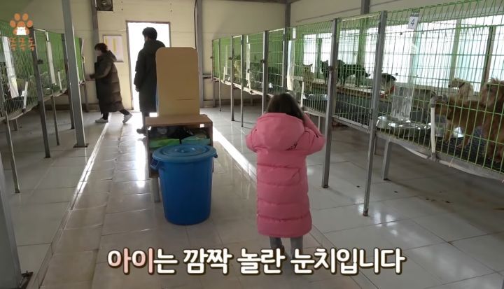 7살 아이 눈에 비친 유기견 보호소는? | 인스티즈