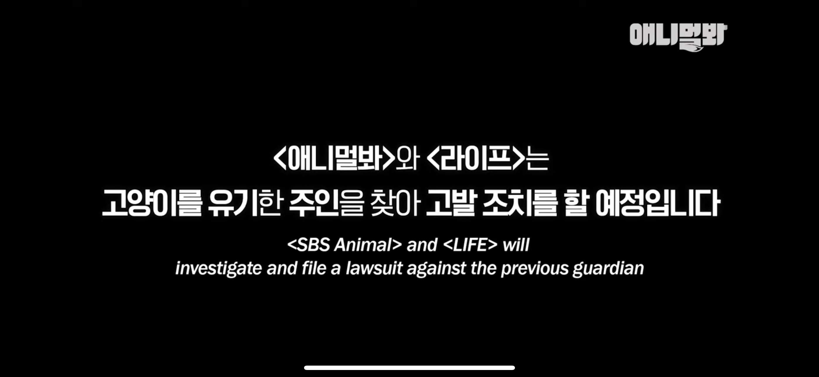 경기도 김포시 마송 휴먼시아 10단지 아파트내에 집단으로 유기된 노르웨이숲 고양이 | 인스티즈