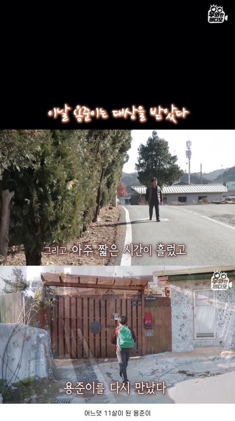 심장을 잃고도 울지 않는 11살 피아노 영재 용준이 | 인스티즈