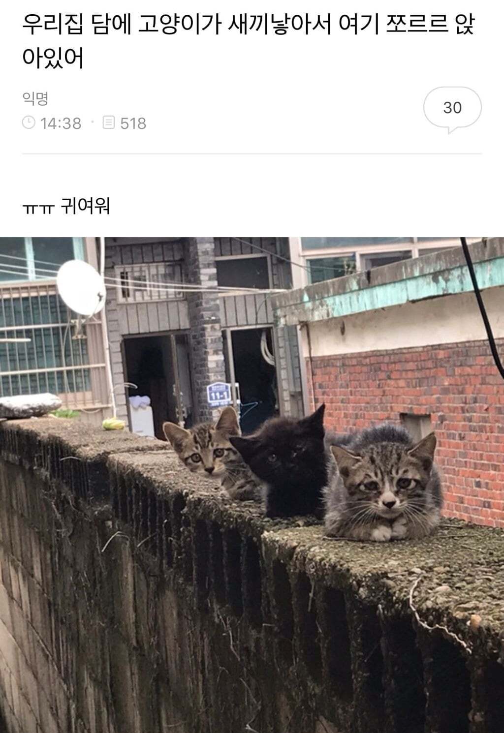 아빠가 개새랑 외출했다고 사진 보내줌 | 인스티즈