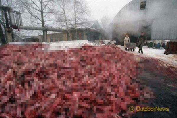 이번 겨울에 오리털 패딩 만원에 판다는 브랜드 ㄷㄷㄷ.JPG | 인스티즈