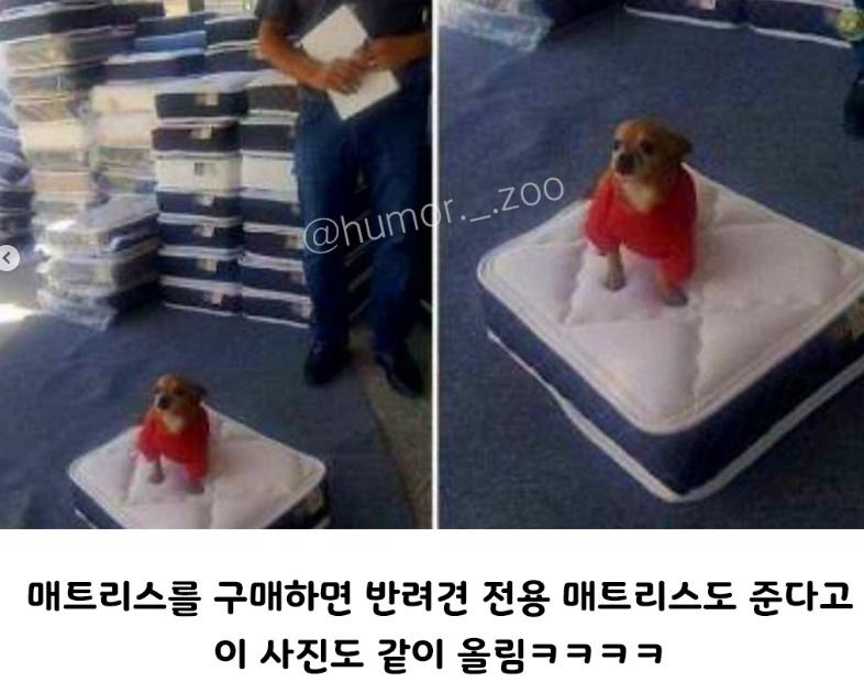 이 집 장사 잘하네 | 인스티즈