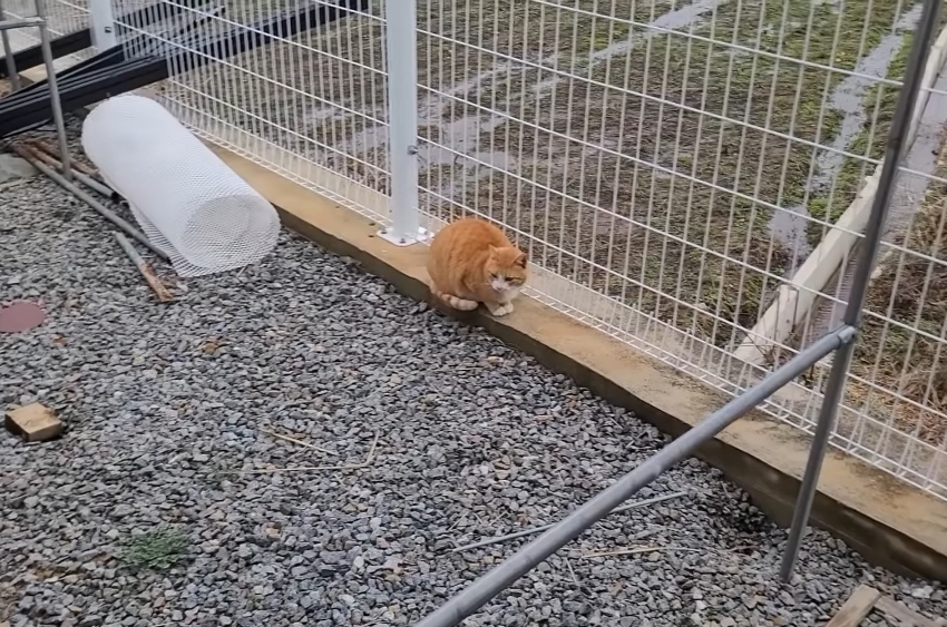 매맞는 삶을 살고있는 매탈남 근황 | 인스티즈