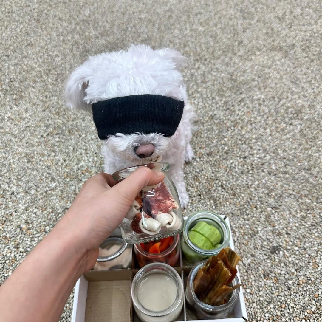 강아지유치원 흑백요리사 | 인스티즈