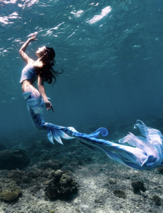 프리다이빙 배우고 넘어간다는 취미 머메이드 다이빙 | 인스티즈