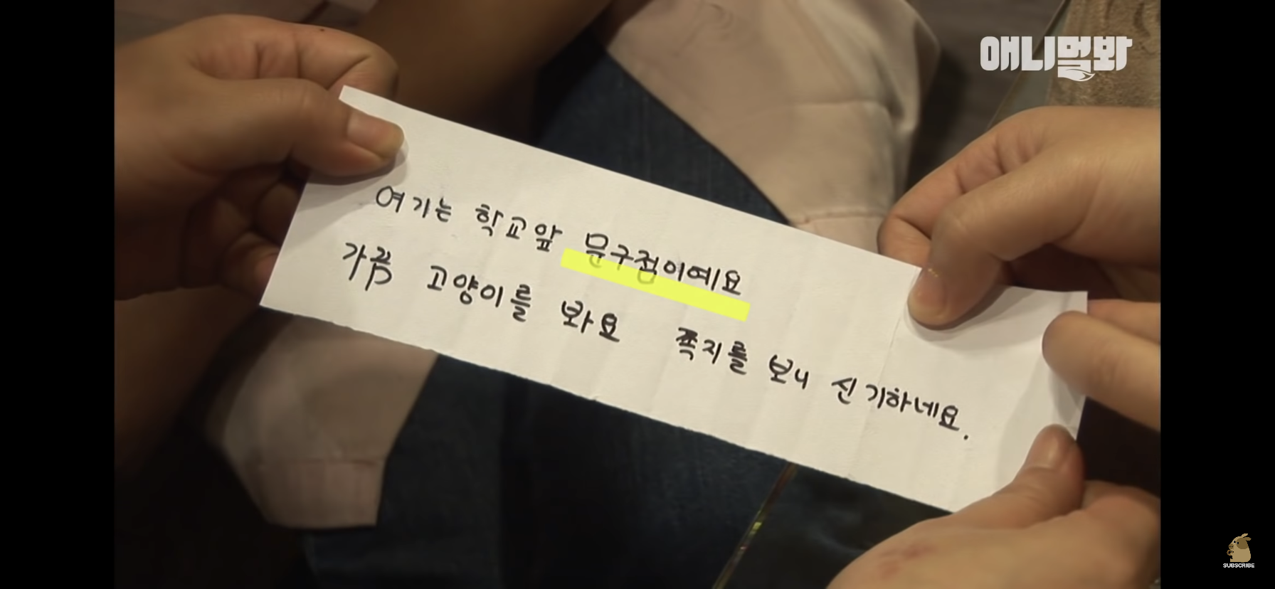 길고양이 목에 쪽지를 달자 생긴 영화같은 일 | 인스티즈