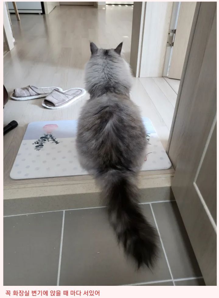 64d670ec77bc4b1b25a5e0252aa37090046200a2