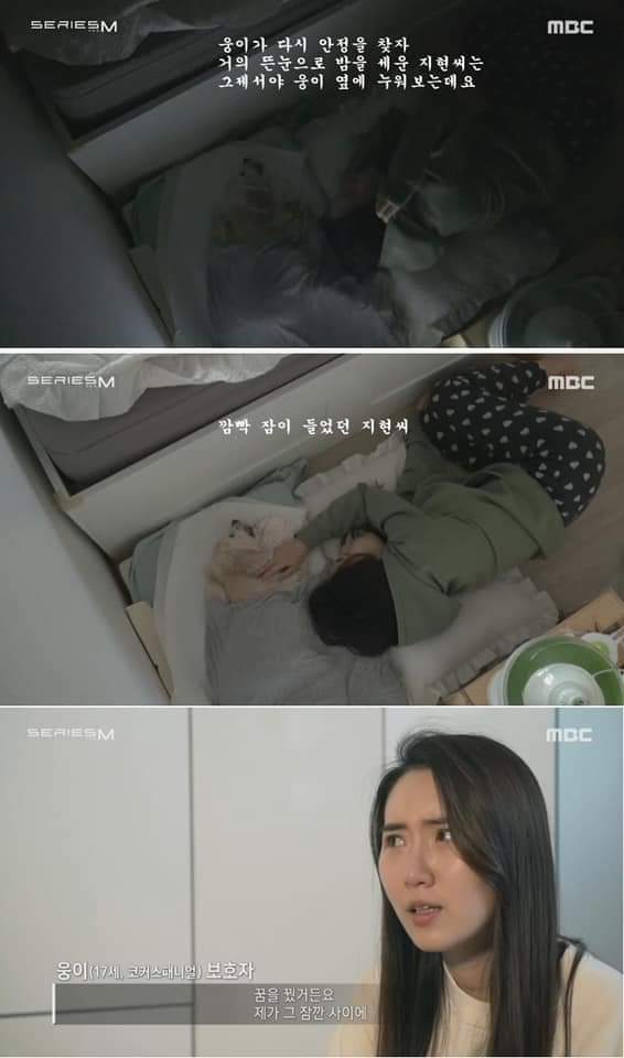 무지개 다리를 건넌다는 것 | 인스티즈