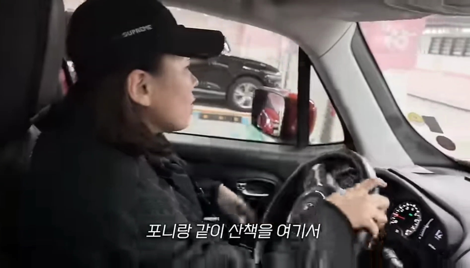 드디어 강아지 입양한 가비.youtube | 인스티즈