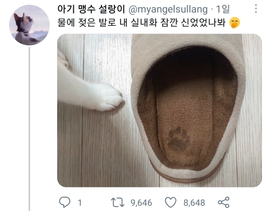 물에 젖은 발로 내 실내화 신었었나봐 | 인스티즈