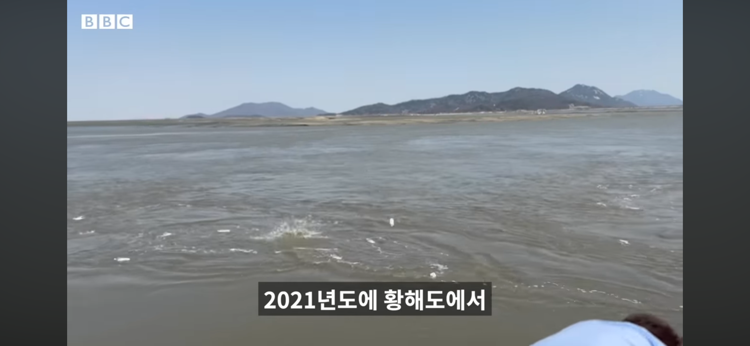 쌀이 든 페트병을 북한으로 보내는 사람들 | 인스티즈
