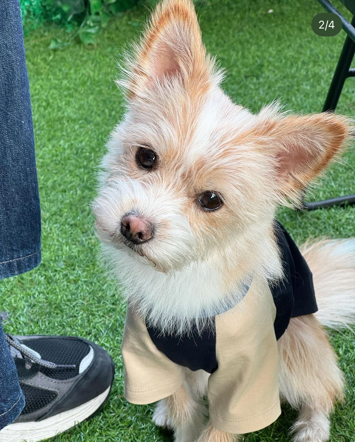 내가 사랑하는 스트릿출신 민들레 홀씨들.jpg | 인스티즈