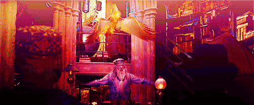 해리포터 남들과 급 자체가 다른 넘사벽 마법사 | 인스티즈