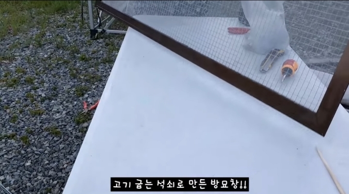 [매탈남] 고양이가 자꾸 방충망 뚫고 탈출함...jpg | 인스티즈