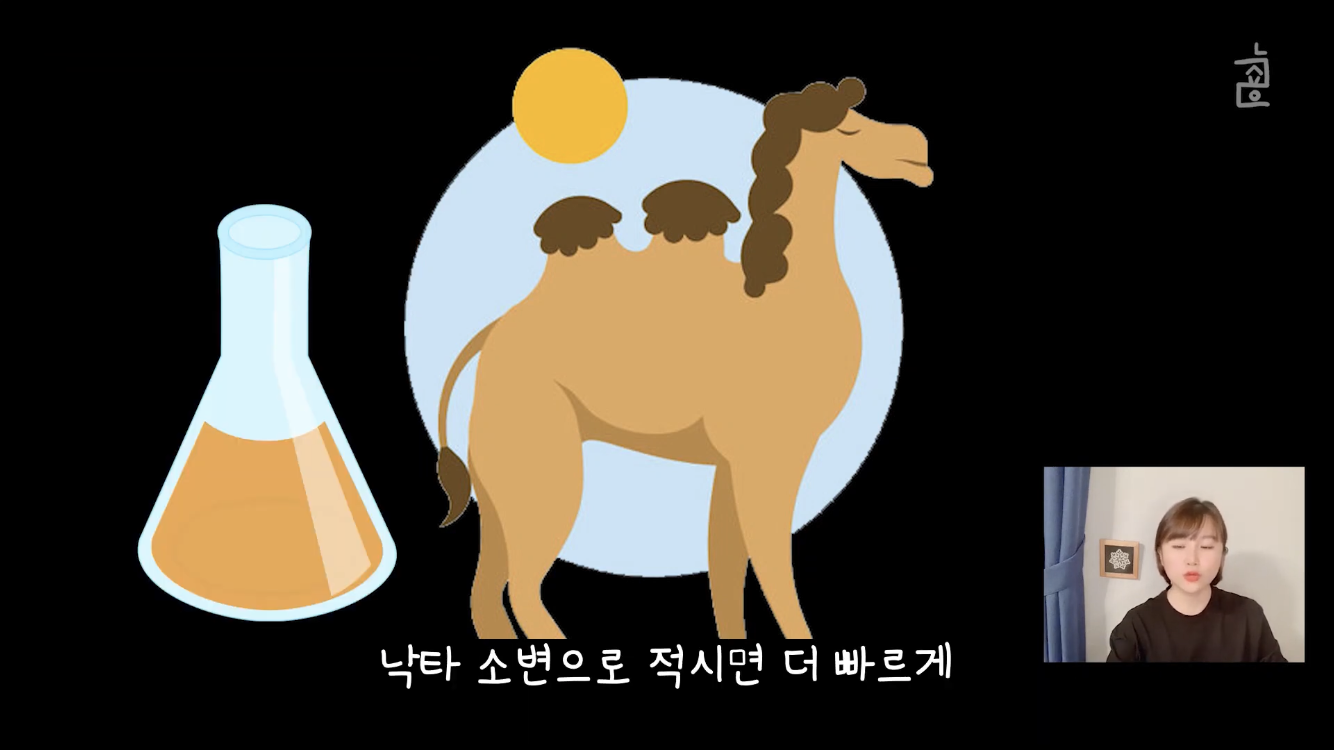 이상한 나라의 앨리스, 모자장수가 미친 이유는? | 인스티즈