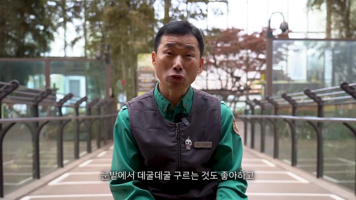 강바오가 중국 사육사에게 보내는 영상편지 (오열주의) | 인스티즈