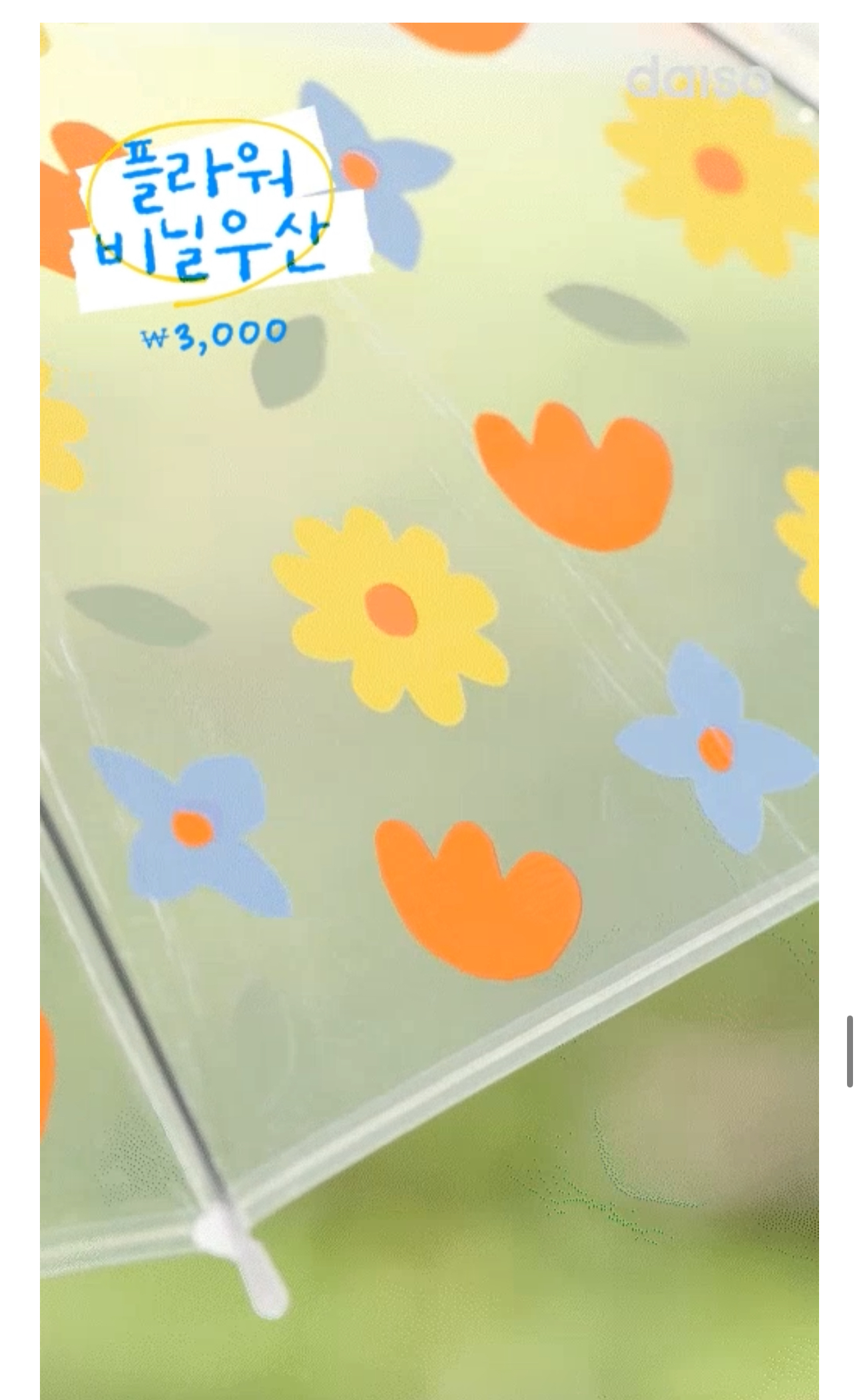 다이소 장마 대비템 출시 | 인스티즈