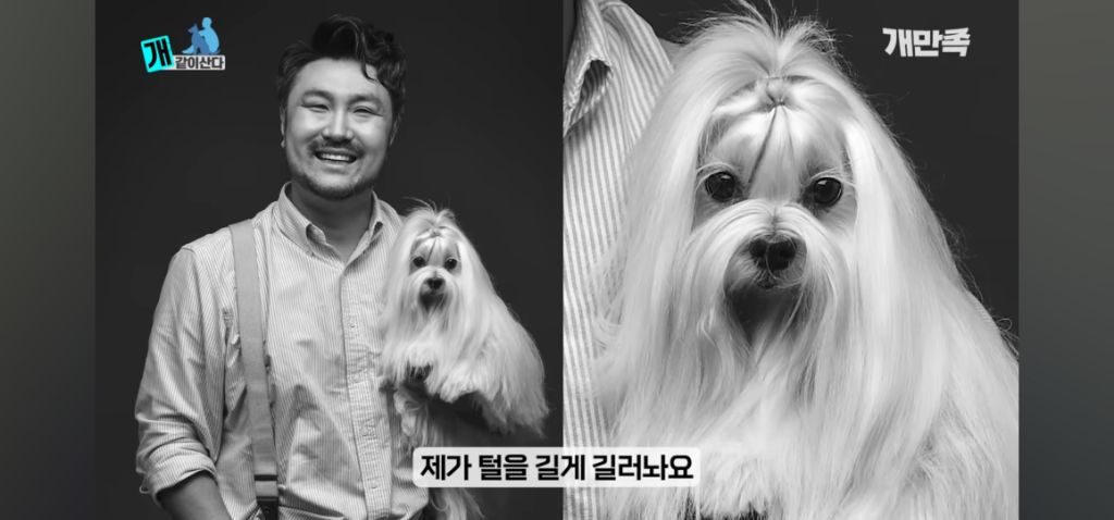 어느 수의사가 고백하지 못한 출생의 비밀 | 인스티즈