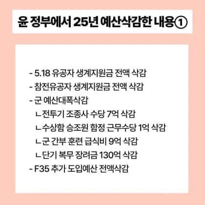 윤석열 정부가 깎은 예산 vs 민주당이 깎은 예산 | 인스티즈
