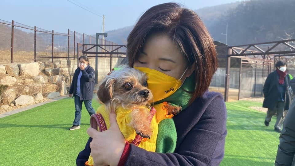 야호펫 이미지