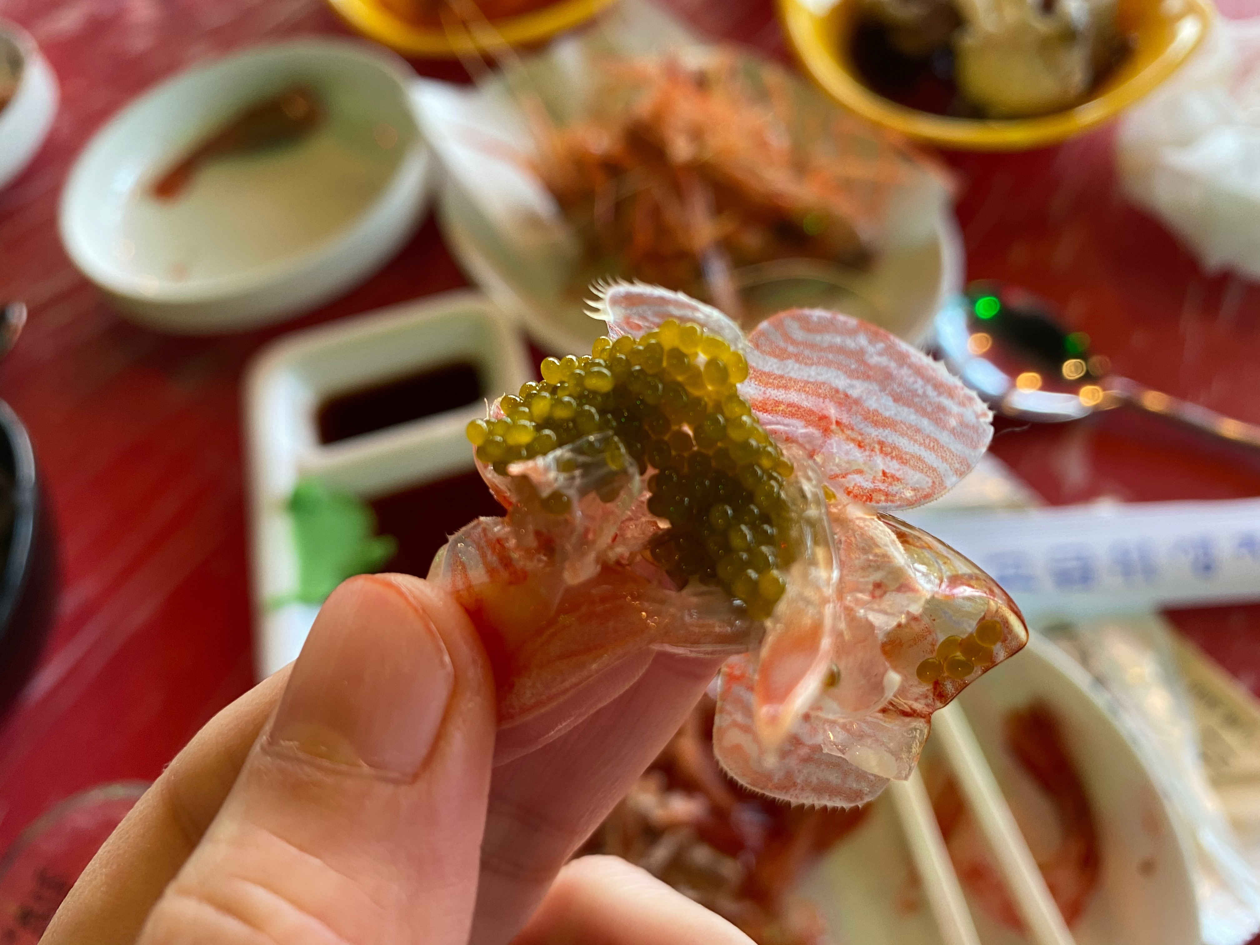 강원도 가서 먹기만 하는 강원도(속초) 쳐돌이가 먹는것들 🦑🦀🐟 | 인스티즈