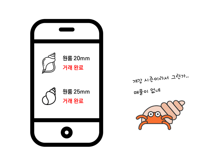 소라게의 새 집 구하기 | 인스티즈