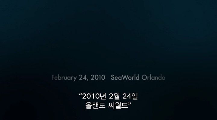 어느날 소방서에 고래가 조련사를 잡아 먹었다는 신고가 들어왔다 .jpg (스압주의) | 인스티즈