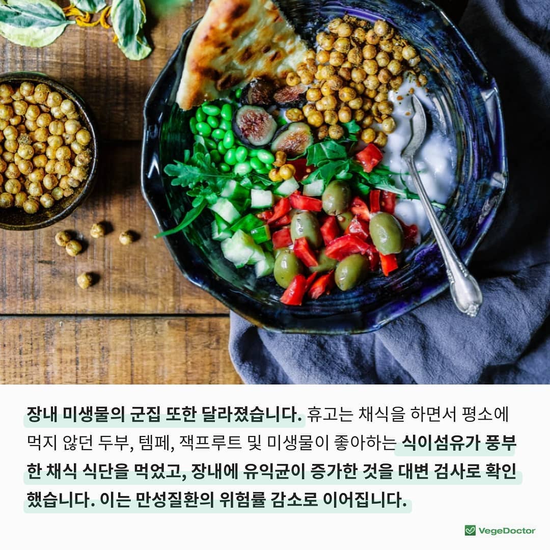 쌍둥이가 채식 vs 잡식으로 12주를 보낸다면? | 인스티즈