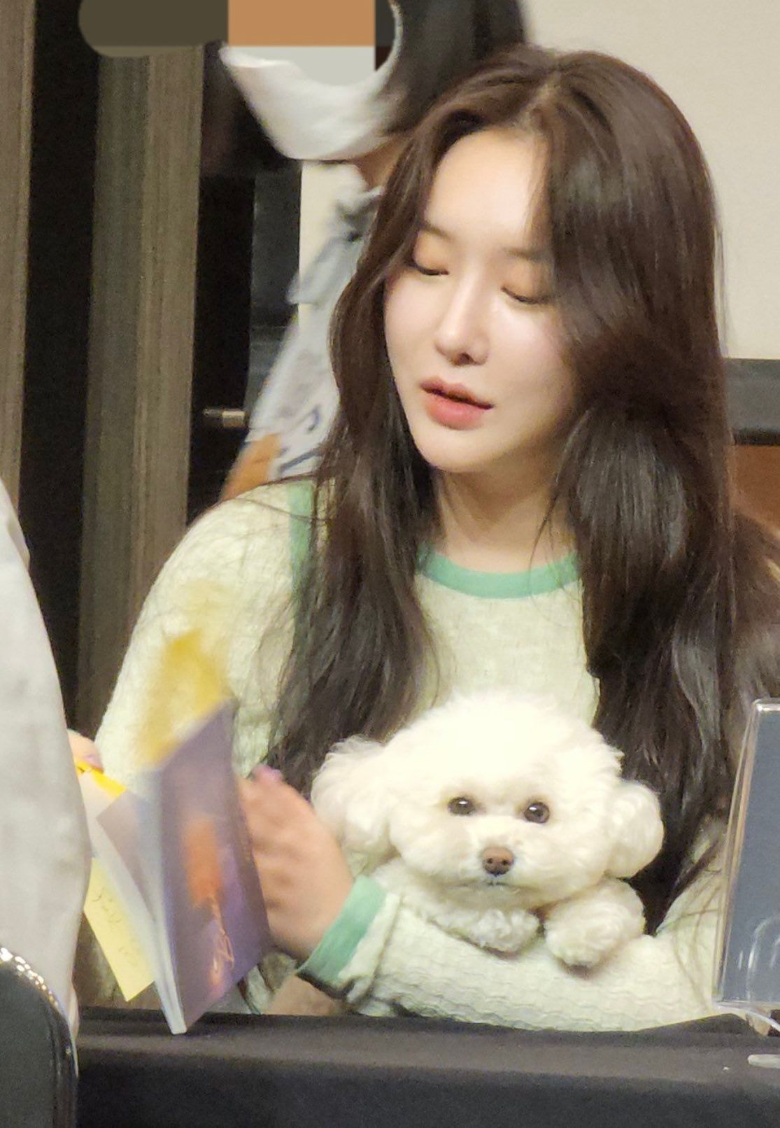 브레이브걸스 팬싸에 등장한 민영의 반려견 | 인스티즈