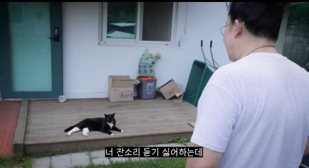 신발 물어 뜯은 고양이 찾아간 이영자 | 인스티즈