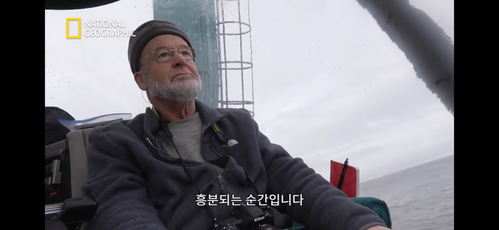 대왕오징어를 찾아라-남극해의 빙산 아래 신비로운 심해 생명체들(심해주의 해산물주의) | 인스티즈